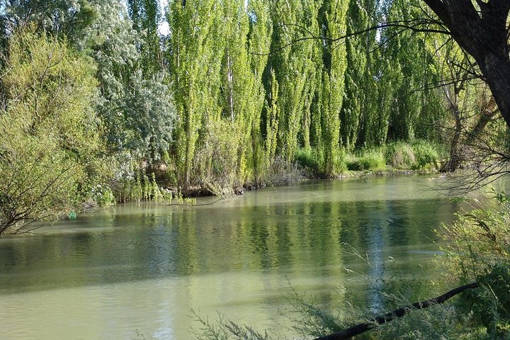 Chubut River Valley with Gaiman Welsh Village from Puerto Madryn - imagen #6
