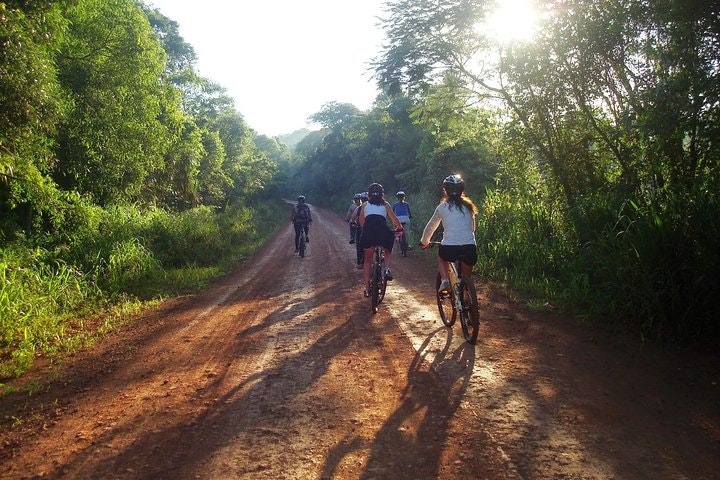 Jungle Wildlife Bike Tour to Iguazu National Park & Jaguar Road - imagen #8