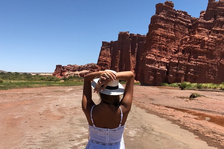 Cafayate, Vineyards and Calchaquies Valleys Tour from Salta - imagen #14