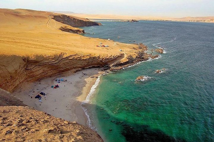 Paracas National Reserve Half Day Tour