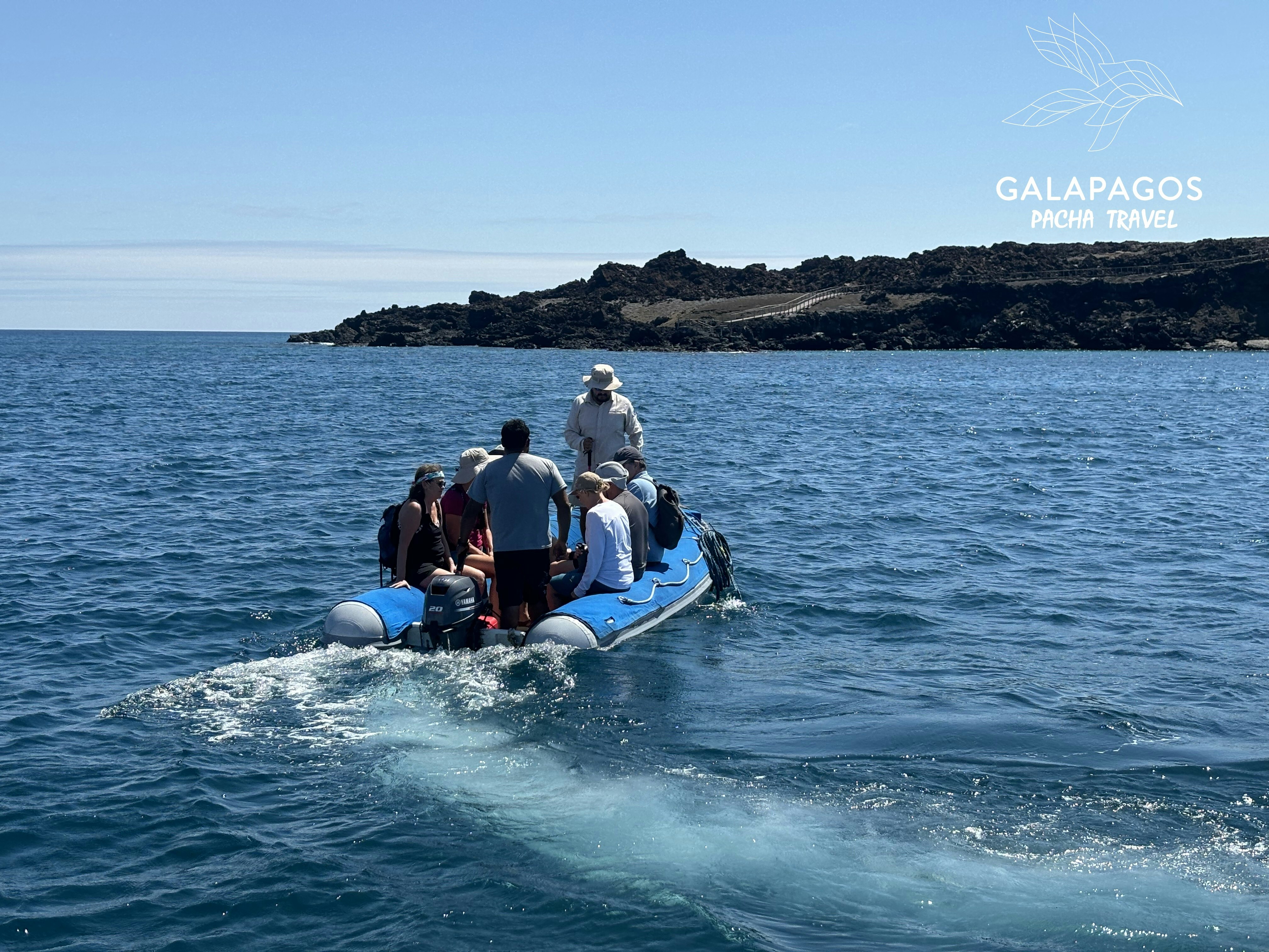 5 day / Sta. Cruz Highlands & C. Darwin RS, Bartolome, N. Seymour - imagen #3