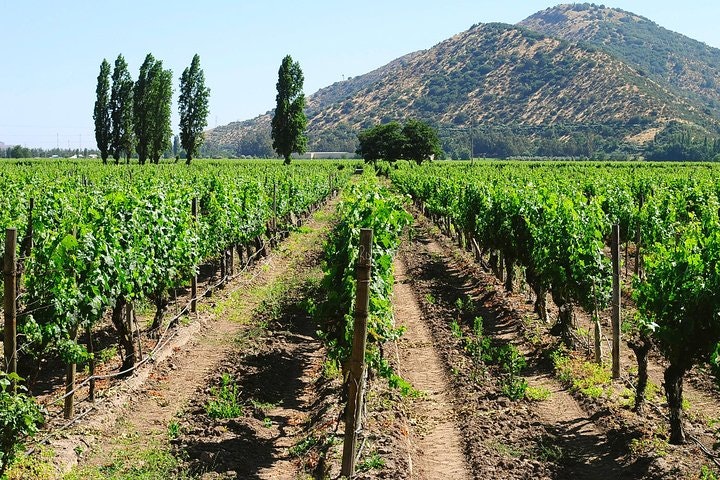 Private Full Day City Tour of Santiago with Wine Experience - imagen #4