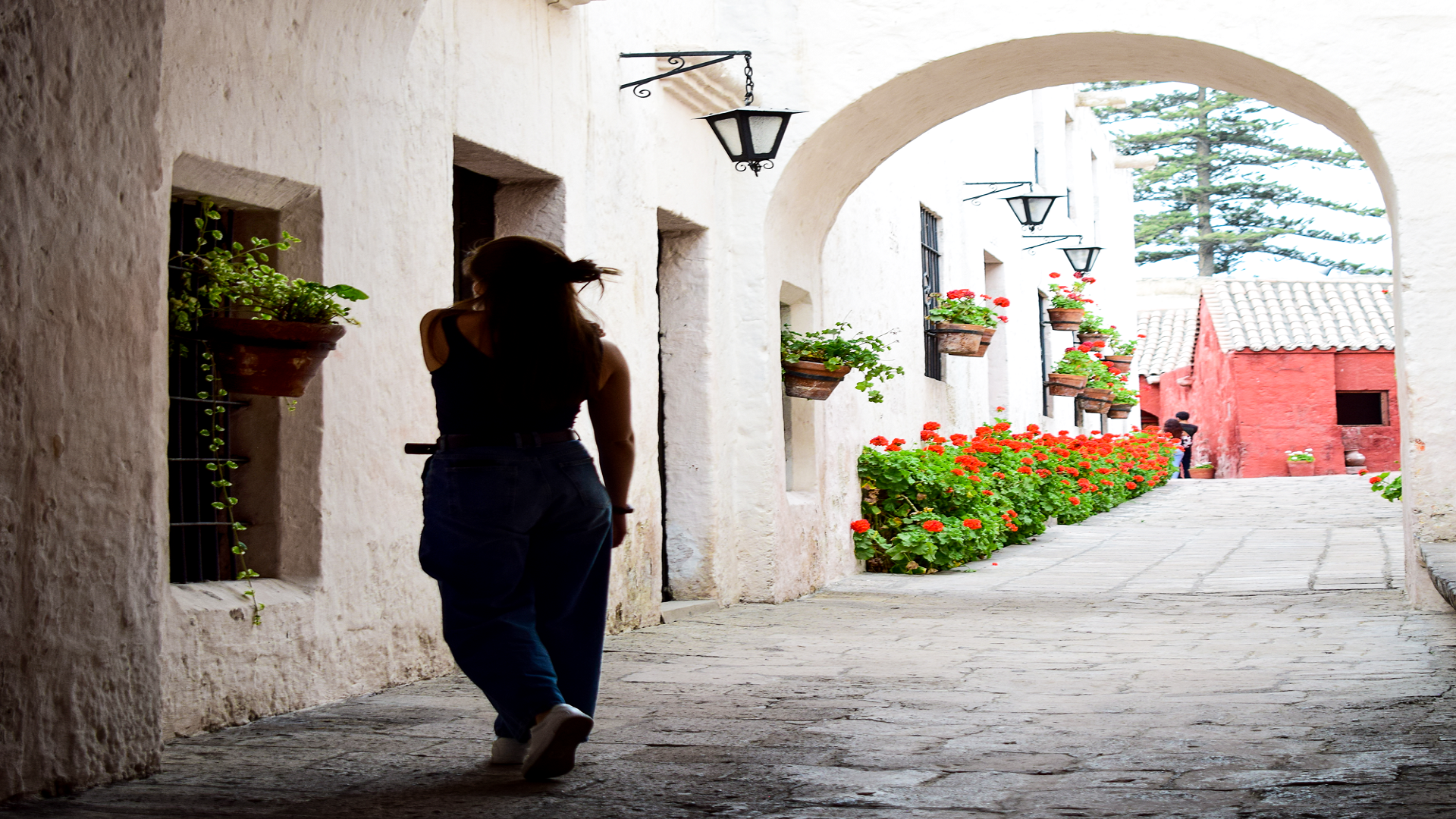 City Tour Arequipa and Santa Catalina Monastery - imagen #11