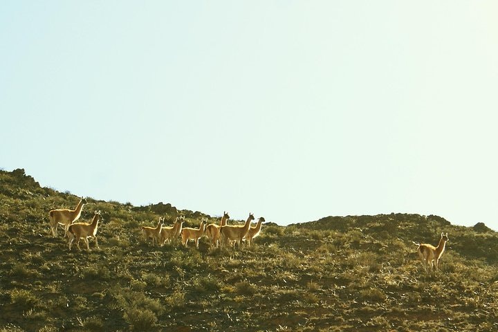 2-Day Calchaquí Valley Tour to Cachi and Cafayate - imagen #3
