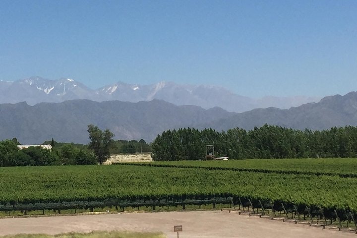 Private Wine Tasting and Vineyards Tour from Mendoza - imagen #7