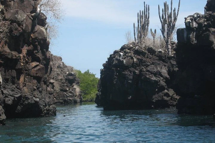 Recorrido por la bahía de Santa Cruz - Islas Galápagos - imagen #8