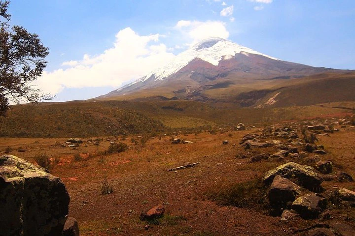Aventura ecuatoriana: Quito - Islas Galápagos, 8 días y 7 noches - imagen #7
