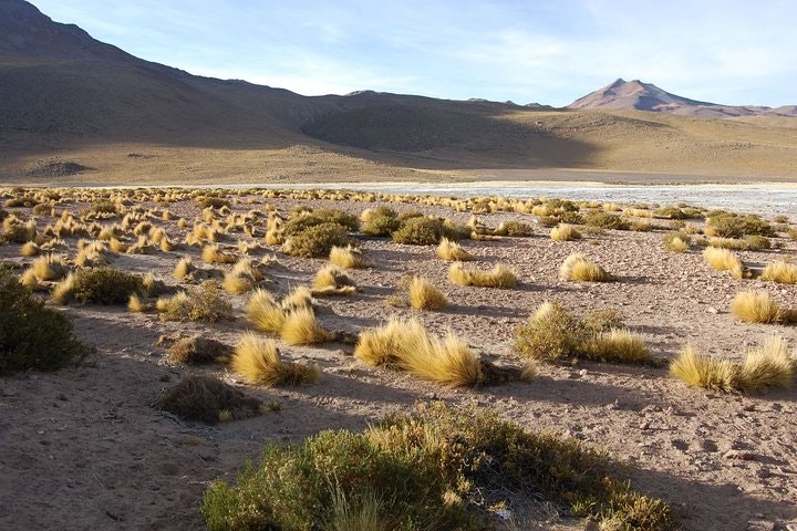3-Days Discovery at San Pedro de Atacama - imagen #7