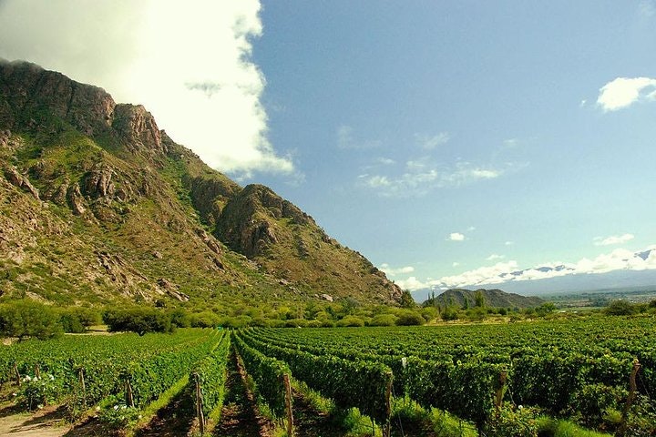 Half-Day Wine Road Premium Tour From Cafayate - imagen #2