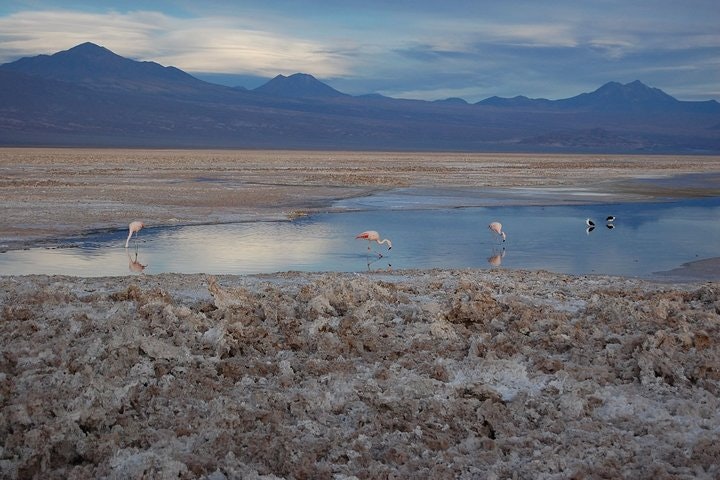 4-Days Discovery at San Pedro de Atacama - imagen #4