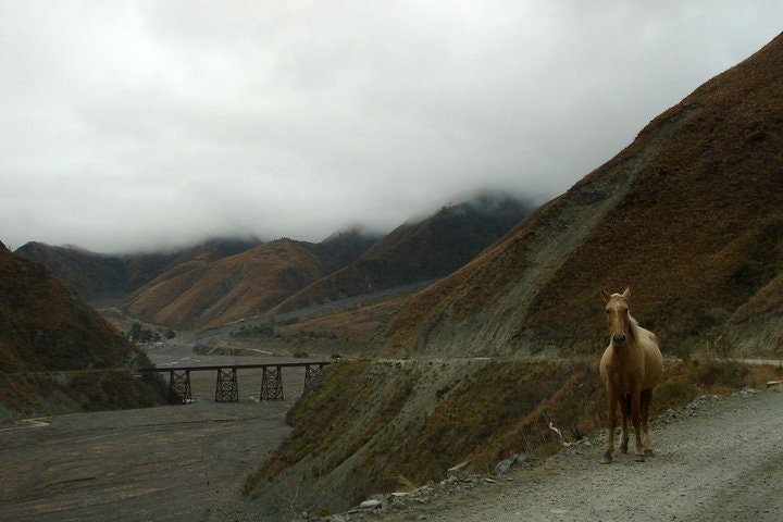 Laguna del Toro and Flamingo-Watching 4WD Tour from Salta - imagen #2