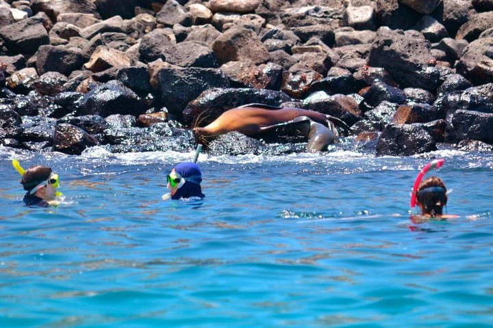 Full Day Santa Fe Playa escondida snorkeling tour - imagen #4