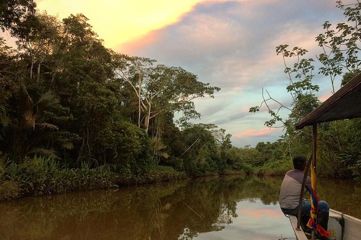Tour por el Amazonas y el Yasuní: 5 días - 4 noches - imagen #8