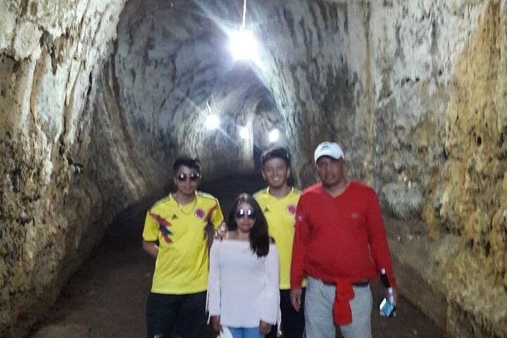 Transfer Airport-hotel in Galapagos Santa Cruz with visit to Giant Tortoises - imagen #7