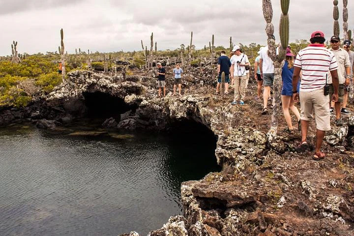 Galápagos: Santa Cruz e Isabela. Excursiones de 6 días - imagen #8