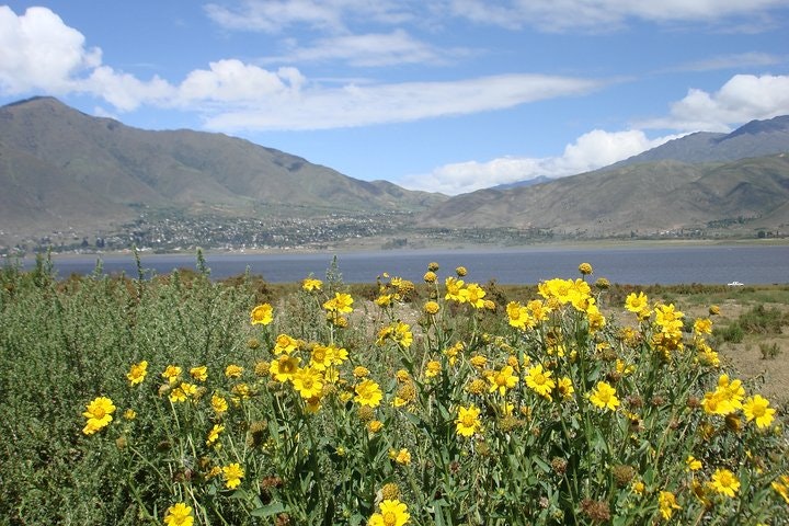 Tafi del Valle Half-Day Tour from Tucuman - imagen #8