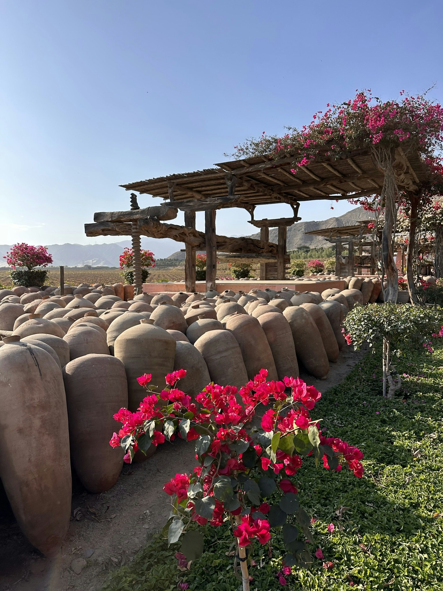 2-Day Pisco Tasting Journey in Ica with Viñas Queirolo Hotel Stay From Lima - imagen #7