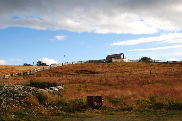 Tierra del Fuego Eco-Adventure: Beagle Channel Canoeing, Penguin Colony and Gable Island - imagen #8