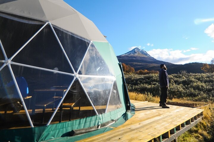 Half-Day Small-Group Tierra del Fuego National Park Tour - imagen #7