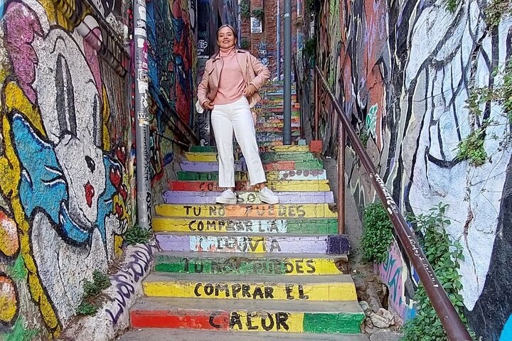 Private Full-Day Tour to Valparaiso Viña del Mar and Reñaca - imagen #4