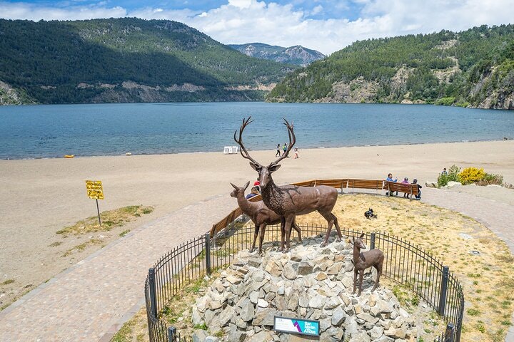 San Martin de los Andes and the Seven Lakes Day Trip from Bariloche - imagen #14