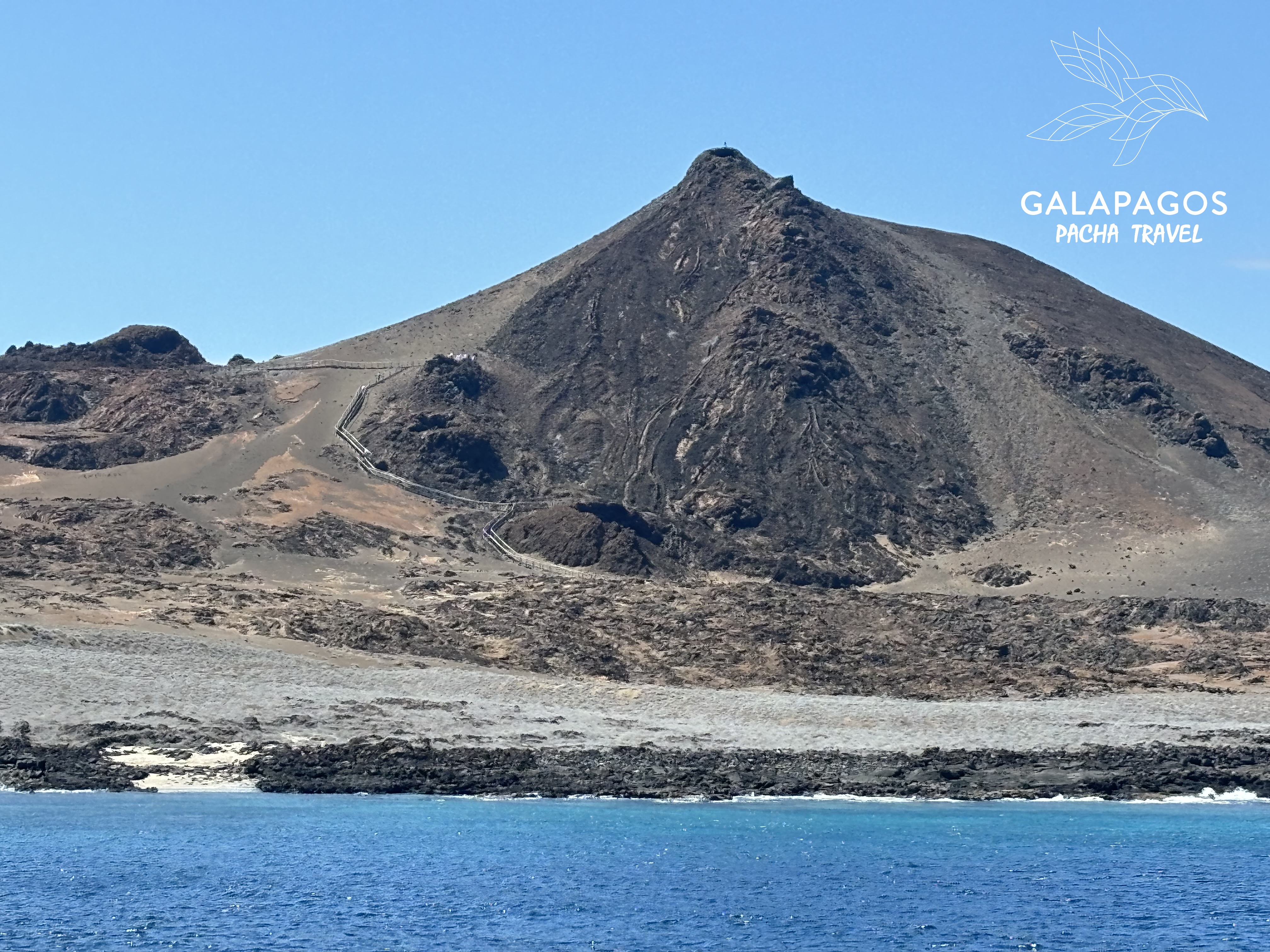 5 días / Tierras Altas de Santa Cruz y C. Darwin RS, Bartolomé, N. Seymour