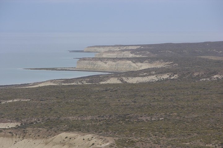 City Tour and Sea Lions at Punta Loma from Puerto Madryn - imagen #8