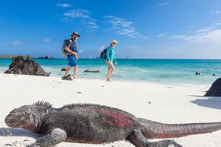 Galápagos: recorrido de 9 días por Santa Cruz, Isabela y San Cristóbal - imagen #2