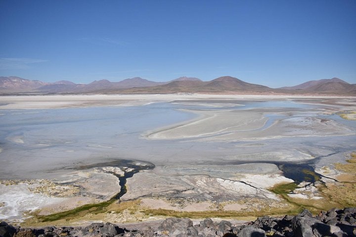 San Pedro de Atacama, Altiplanic Lagoons and Piedras Rojas - Full day - imagen #4