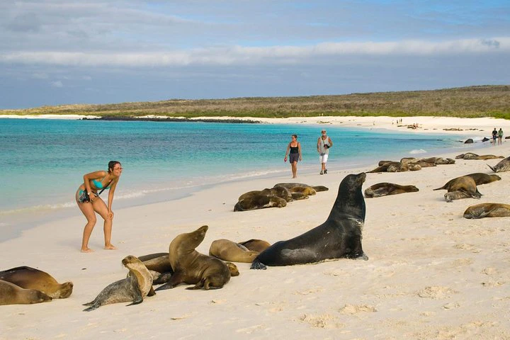 Galápagos: 4 días explorando la isla de San Cristóbal - imagen #3