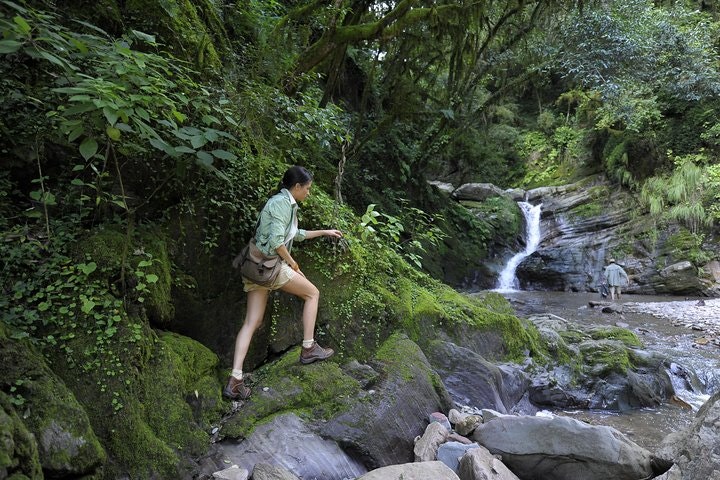 Yungas and El Rey National Park 4x4 Full Day Tour from Salta - imagen #3