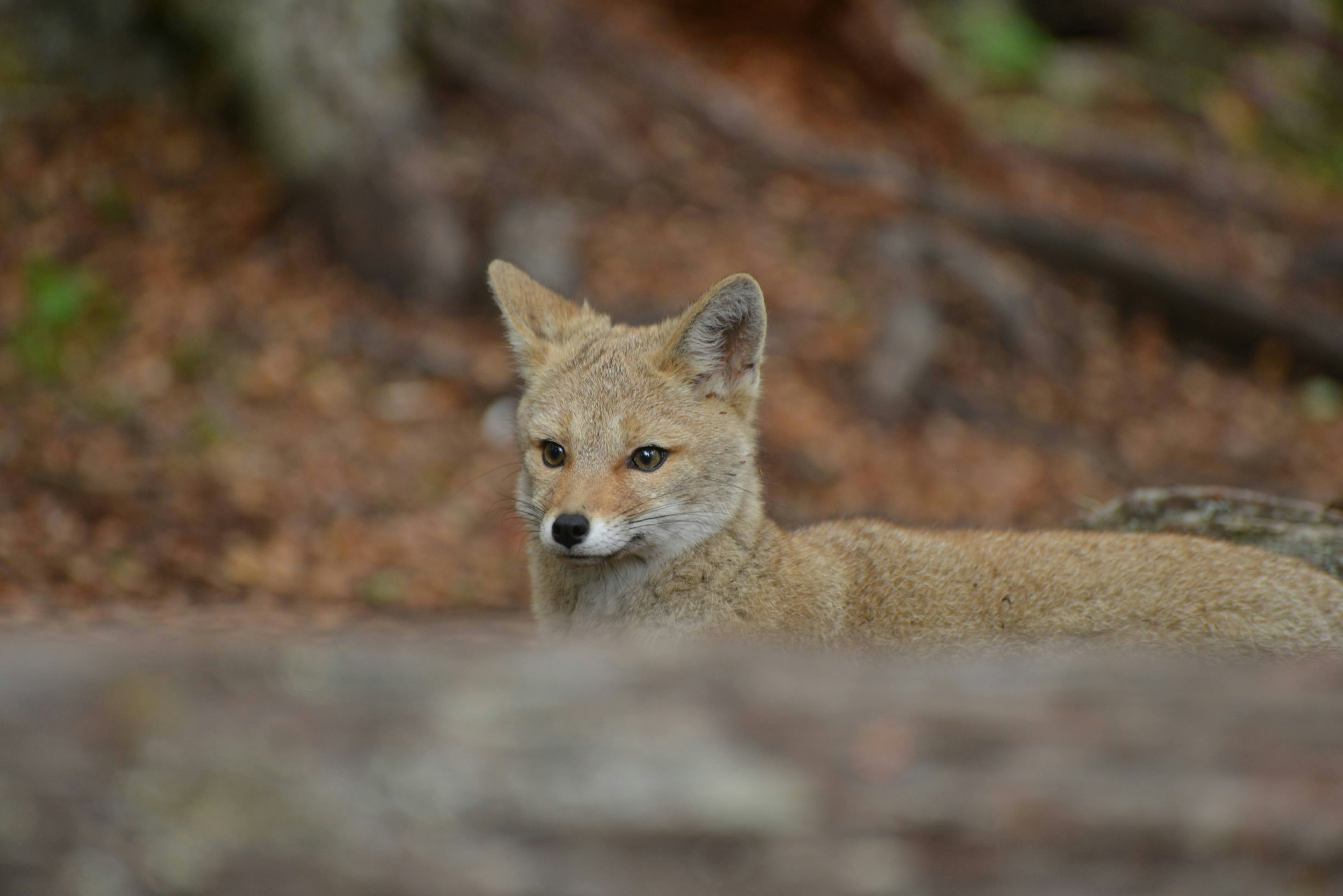 Ushuaia Explorer: 4-Day Adventure at the End of the World - imagen #6