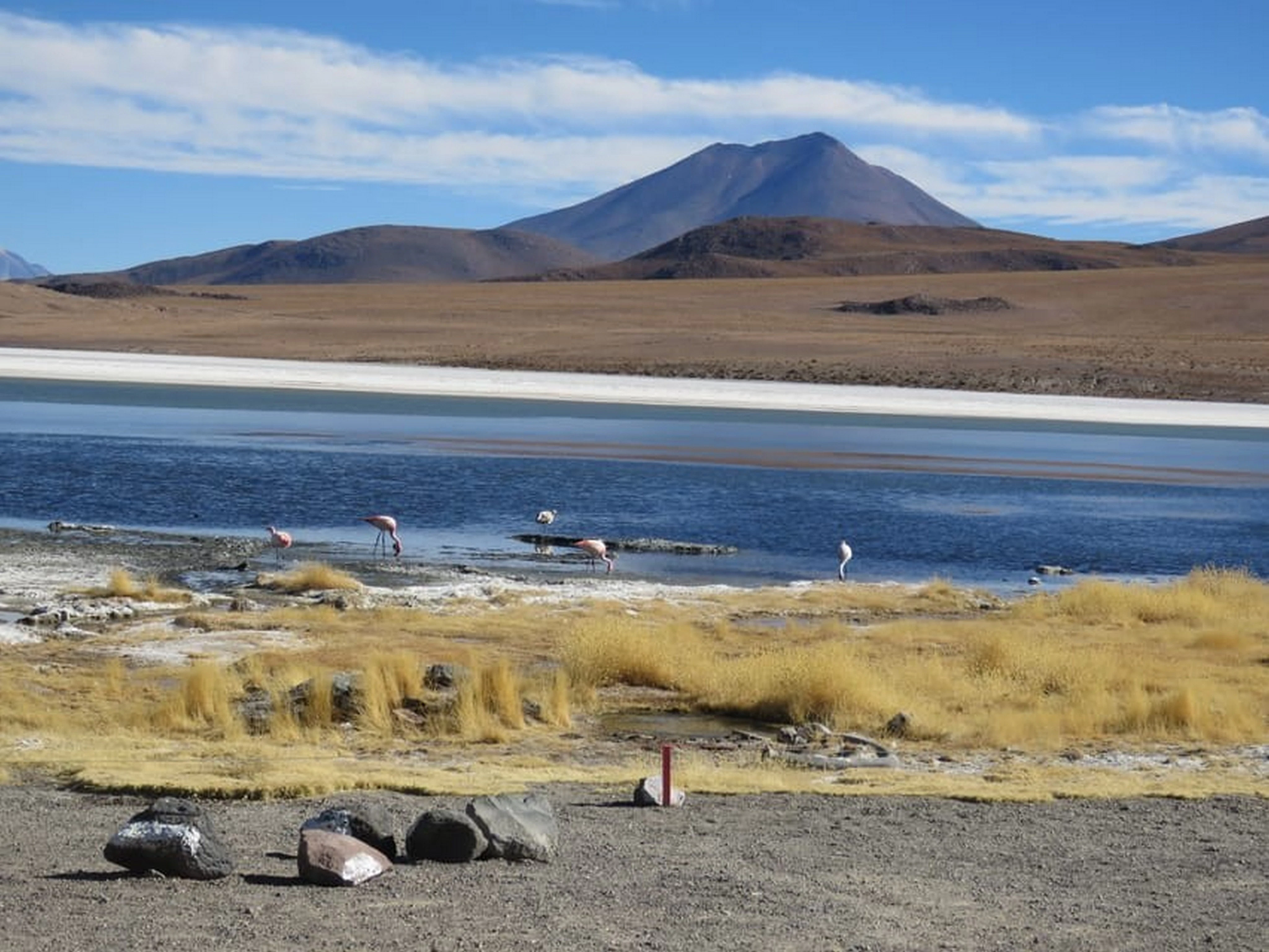 BO-UYU-03: Uyuni | Salar de Uyuni, 3 días/2 noches – Descubre una belleza de otro mundo - imagen #23