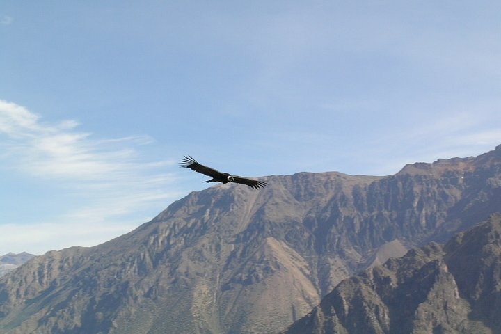 2-Day Colca Canyon Classic Tour - imagen #5
