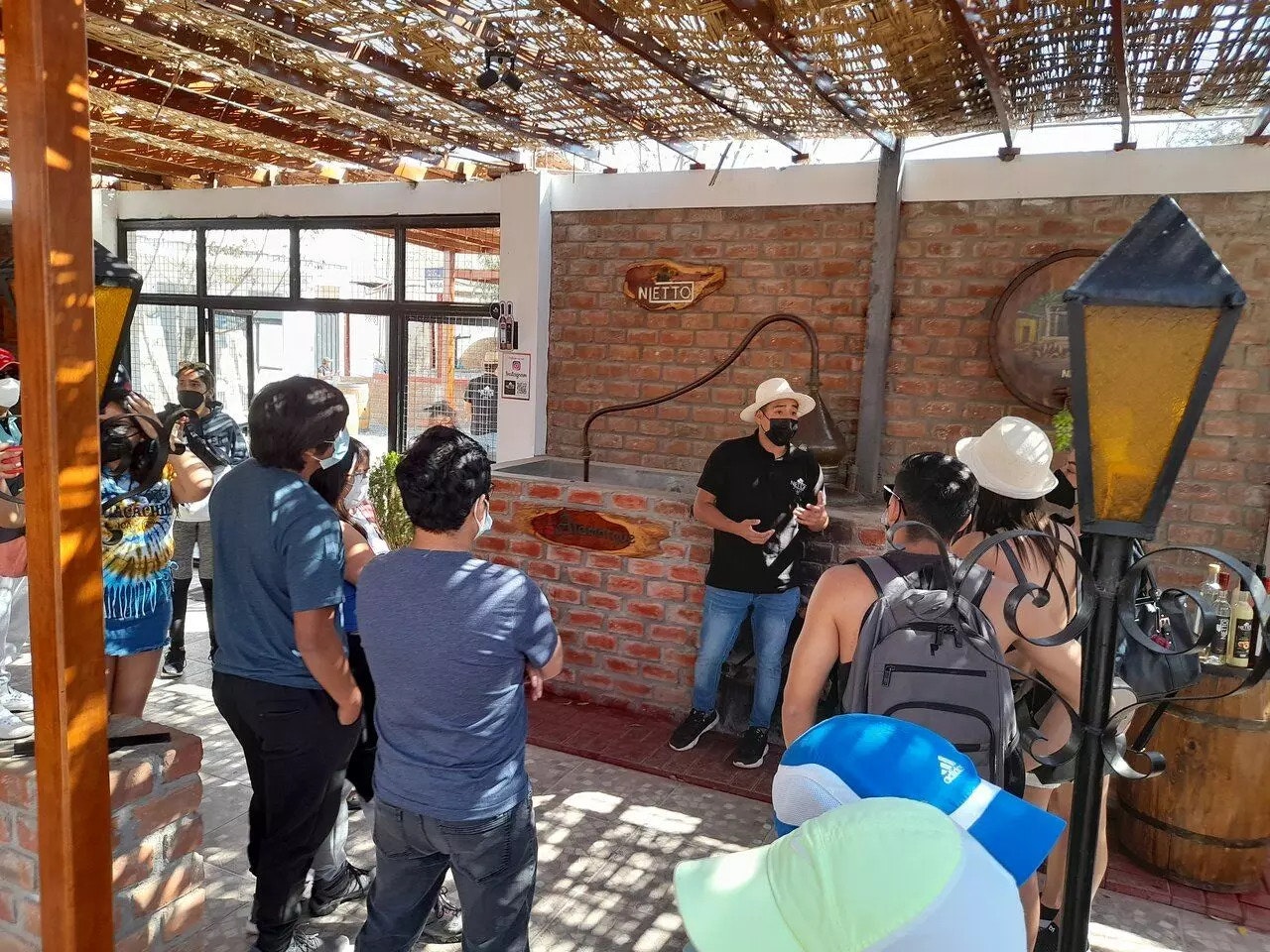 Ica-03 : Pisco and Wine Tasting Tour - Embarking on the Pisco Route - imagen #2