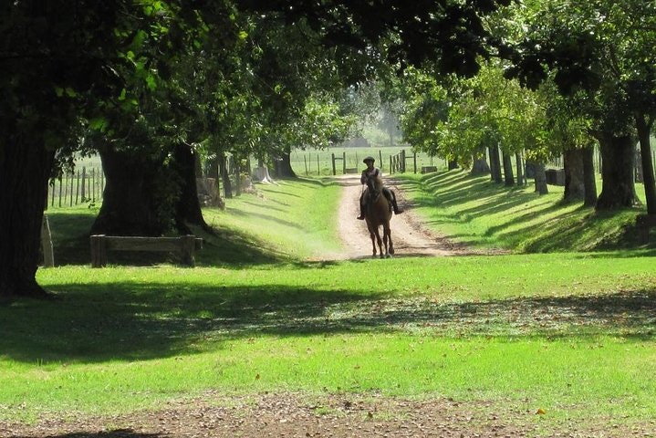 Excursión privada de un día a una estancia argentina - imagen #2