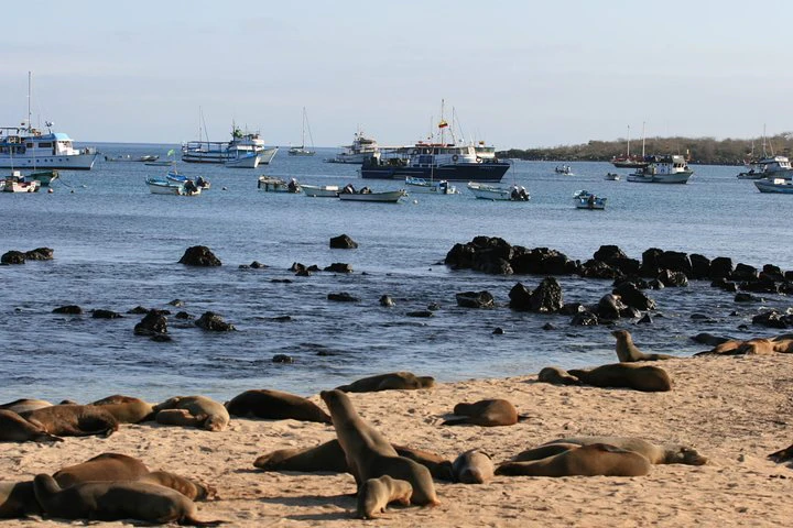 Ecuadorian Experience Quito - Galápagos 8 DAYS 7 NIGHTS - imagen #5