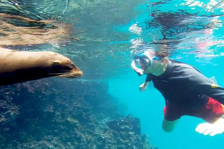 Full Day Santa Fe Playa escondida snorkeling tour - imagen #2