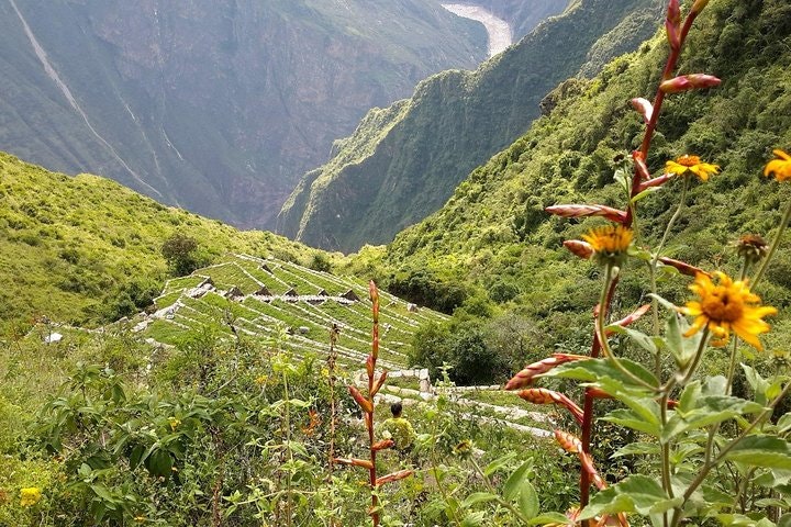 8-Day Choquequirao, Inca Citadel of Apurimac River - imagen #7