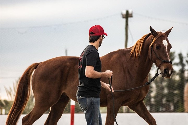 Ranch Day and Polo Tour with Lunch - imagen #3