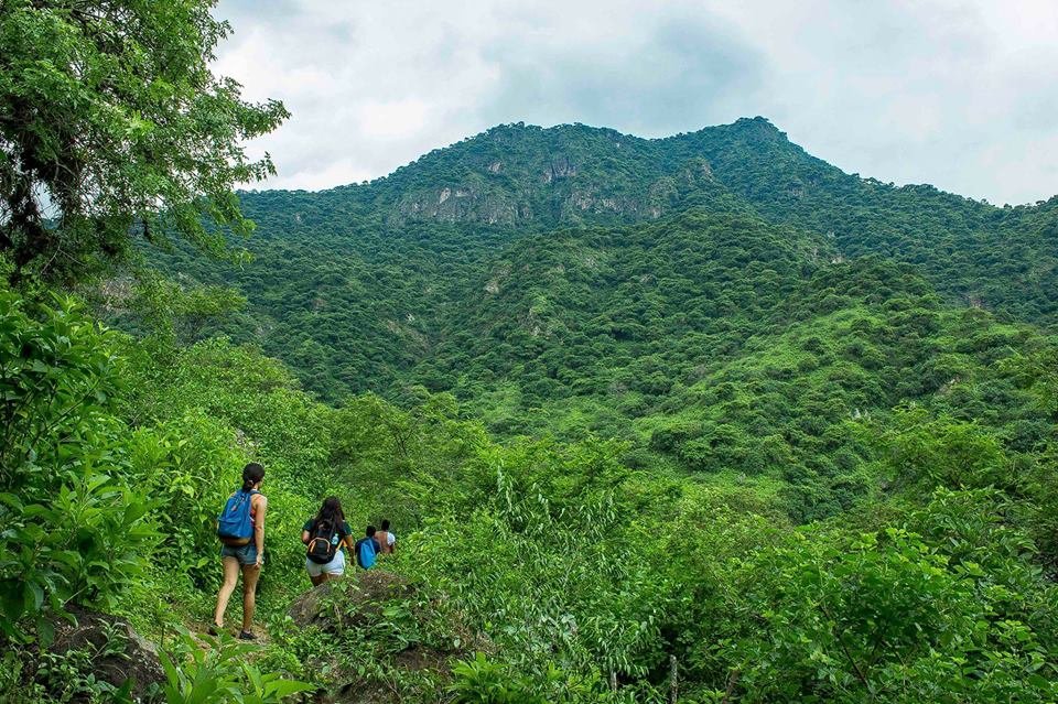 Chi-03 : Chaparri Ecological Reserve Escapade