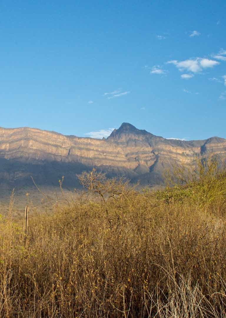 Chi-03 : Chaparri Ecological Reserve Escapade - imagen #9