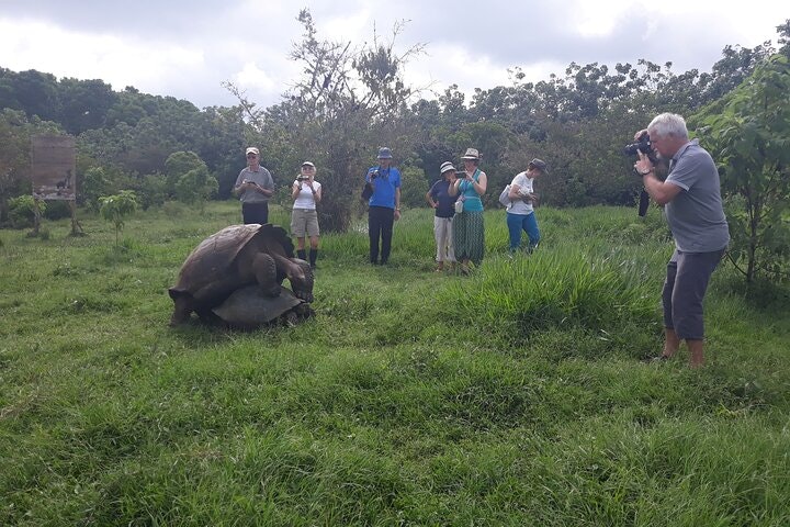 Transfer Airport-hotel in Galapagos Santa Cruz with visit to Giant Tortoises - imagen #11