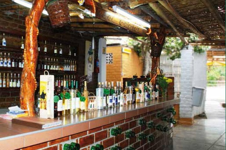 2-Day Pisco Tasting Journey in Ica with Viñas Queirolo Hotel Stay From Lima - imagen #6