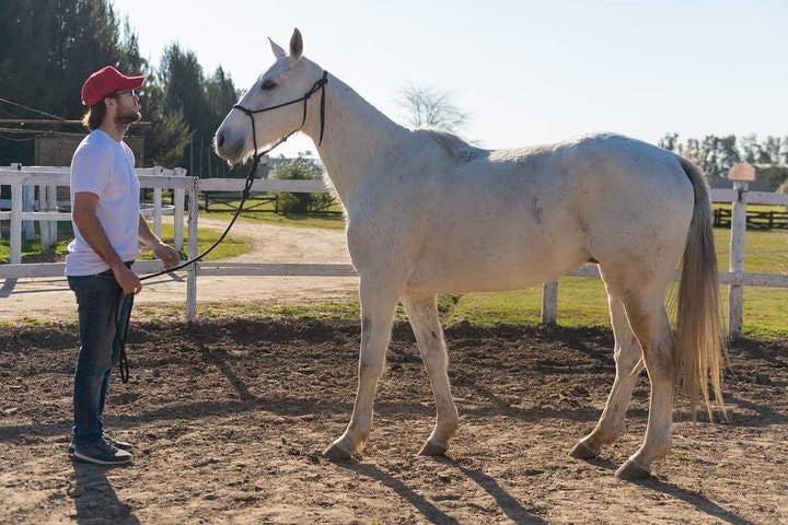 Ranch Day and Polo Tour with Lunch - imagen #8