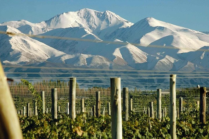 4-Days Trip to Mendoza and The Andes - imagen #2