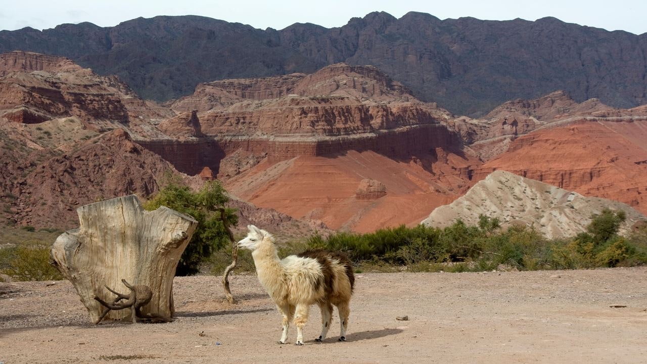 Cafayate, Vineyards and Calchaquies Valleys Tour from Salta - imagen #17