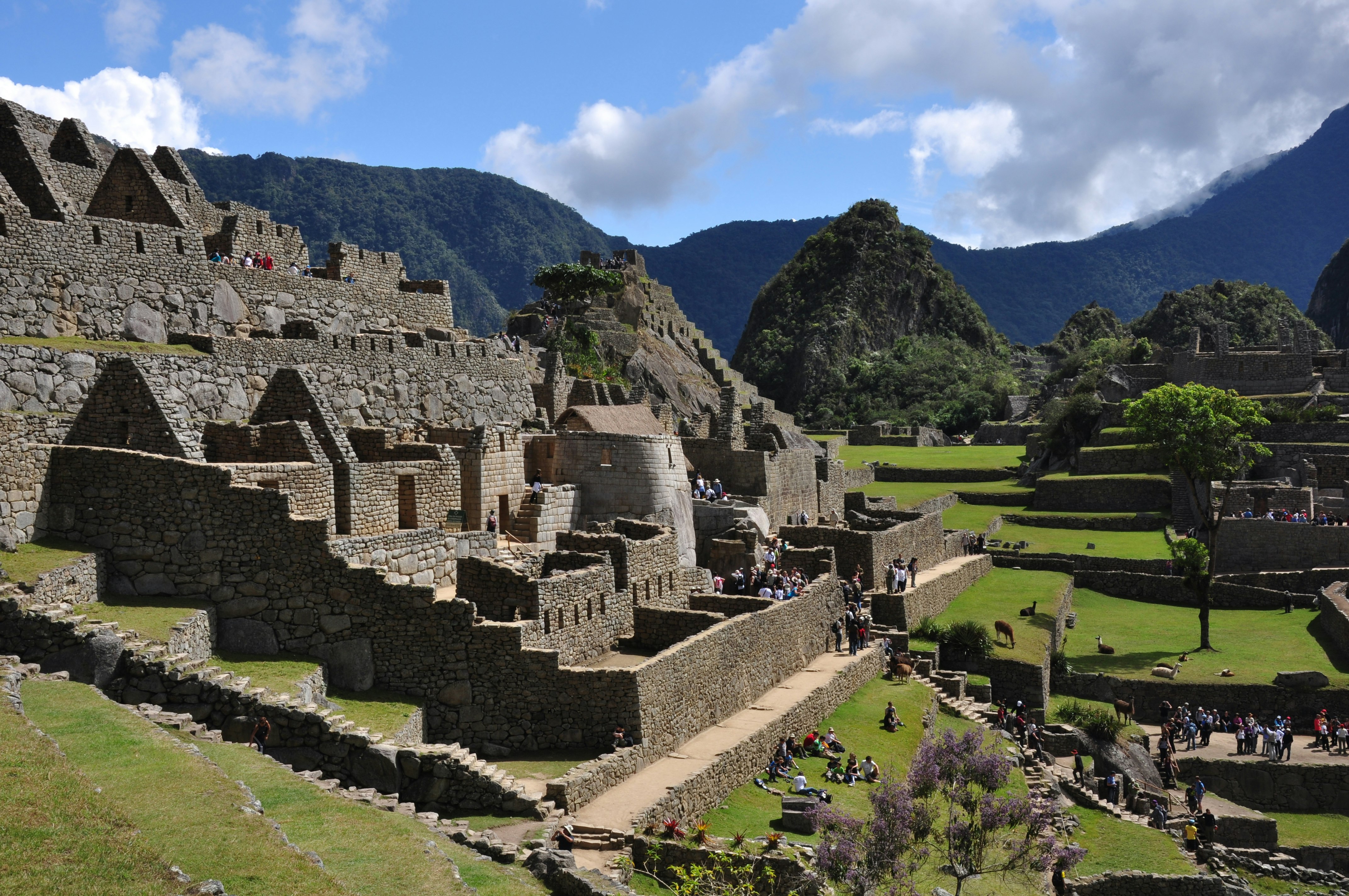Machu Picchu Day Trip from Cusco - imagen #40