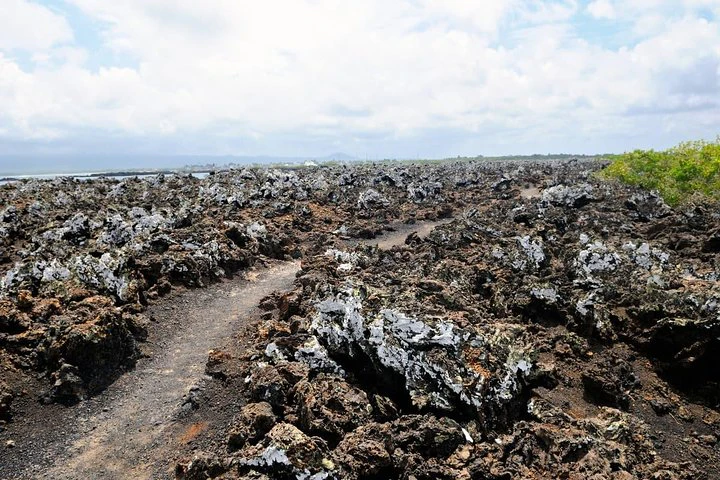 Circuito de 5 días por las Galápagos: islas de Santa Cruz e Isabela - imagen #5