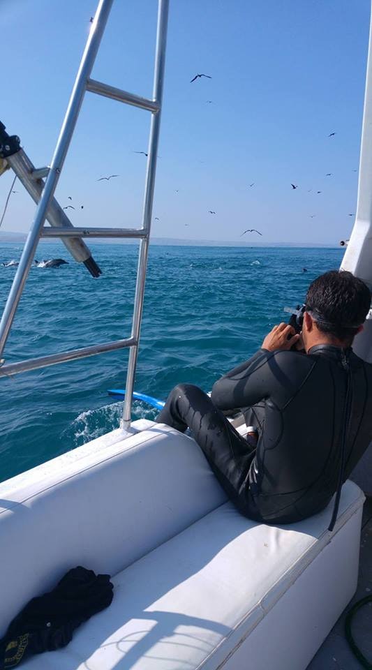 Tum-02 : Whale Watching - Majestic Whales Expedition - imagen #2